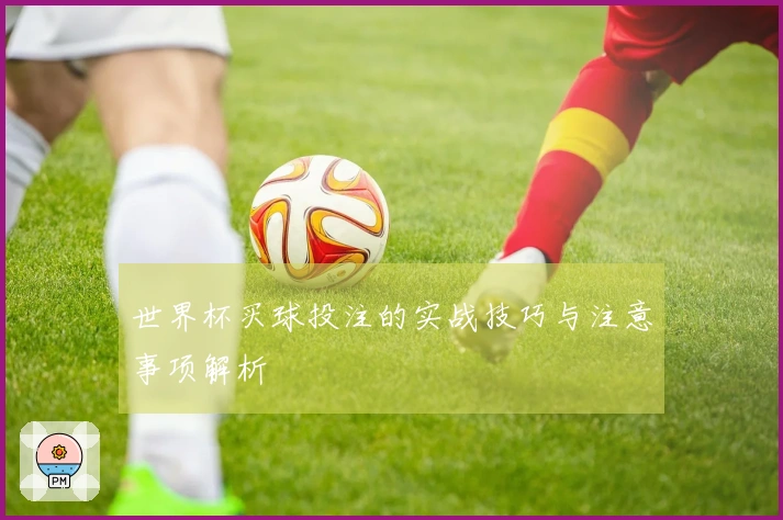 世界杯买球投注的实战技巧与注意事项解析