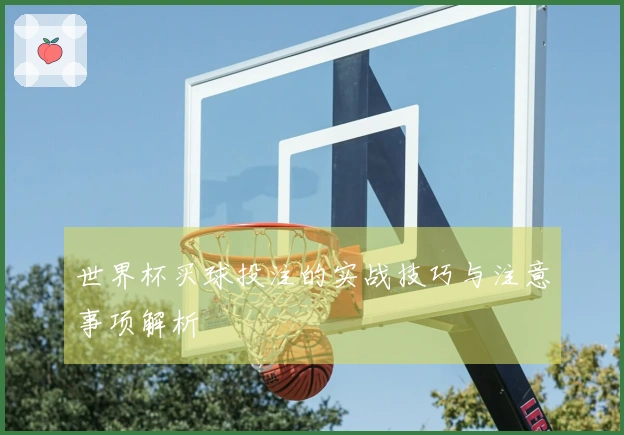 世界杯买球投注的实战技巧与注意事项解析